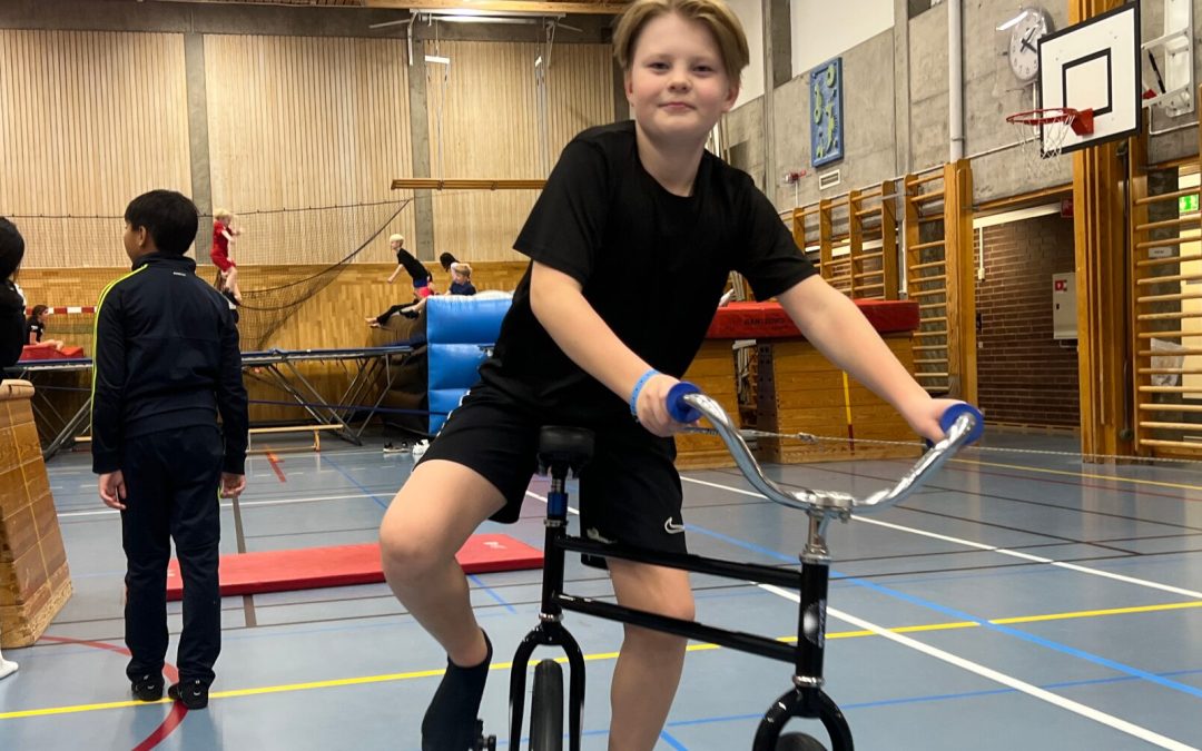 Rekordmånga på Megahelg