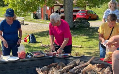 Mer verksamhet för årsrika